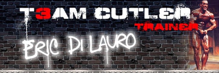 Eric DiLauro Online Coach & Fitness Consultant banner