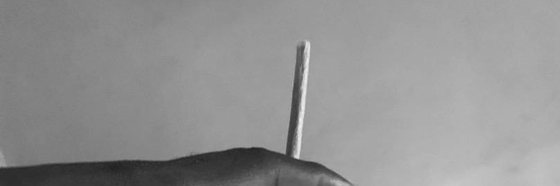 🍃🍁☘️ banner