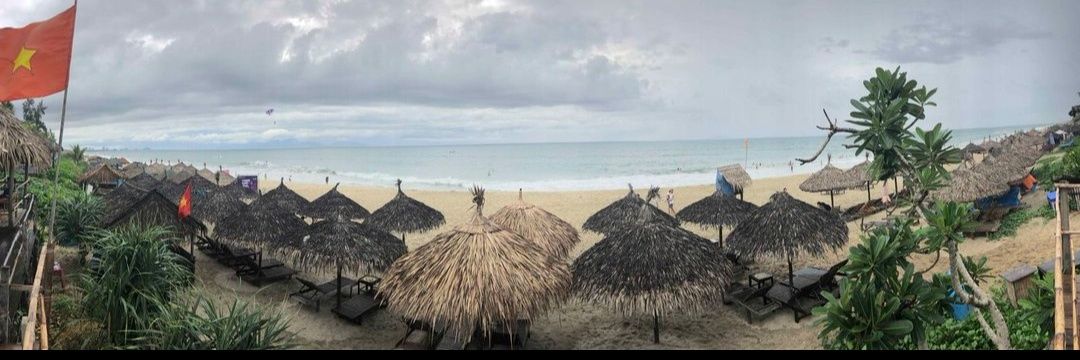 Denece 💙🇵🇸 🇺🇦 banner