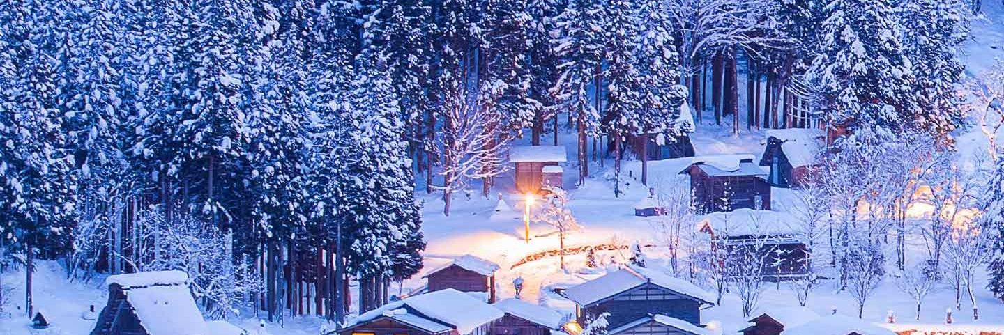 Ludi Božo 🐰 banner