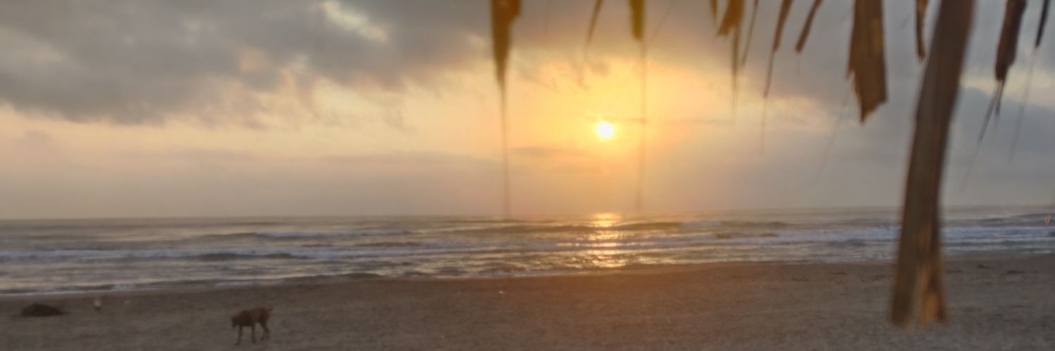 HugoESMuri48015's profile banner image