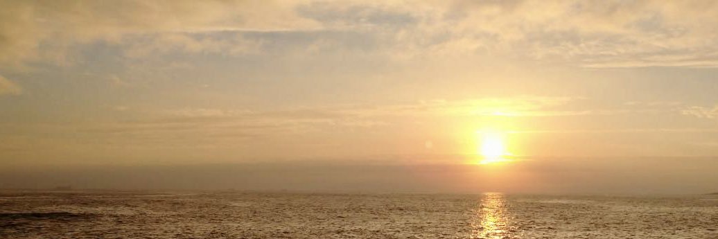 A85N's profile banner image