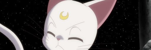 Artemis banner