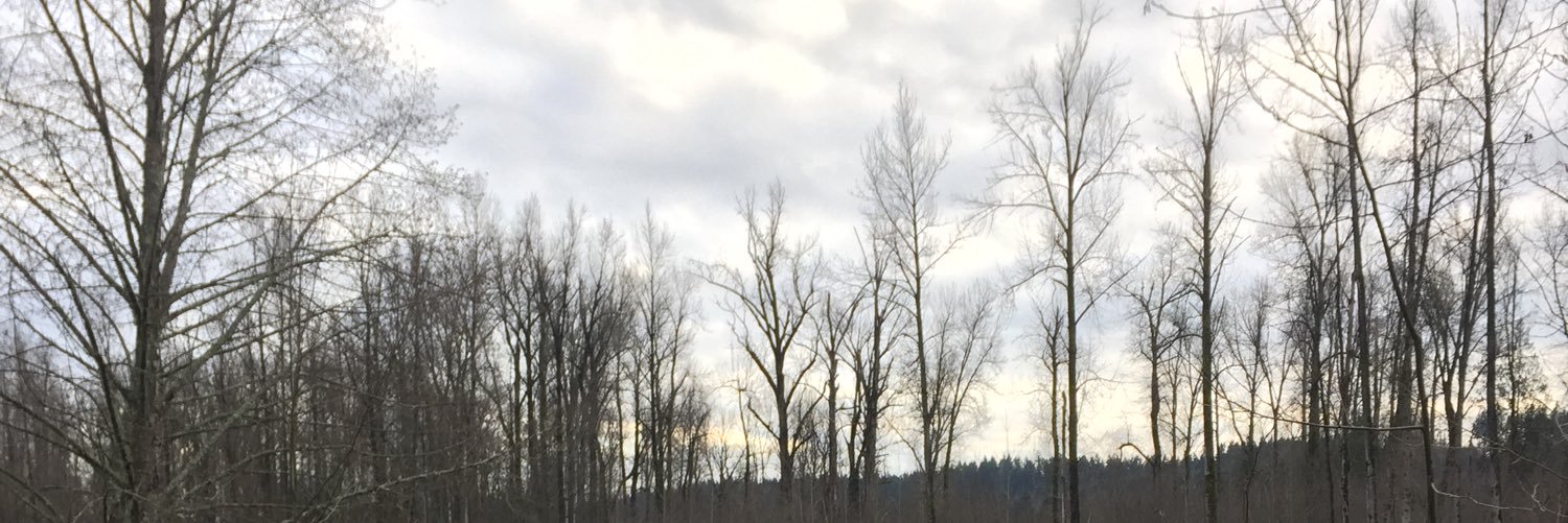 YoungSkoobert's profile banner image