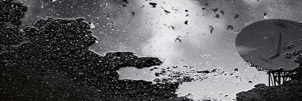 MaskedSanity™ banner