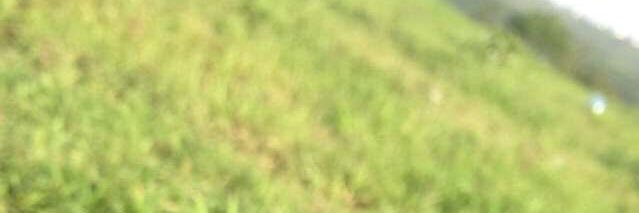 hshd2009's profile banner image