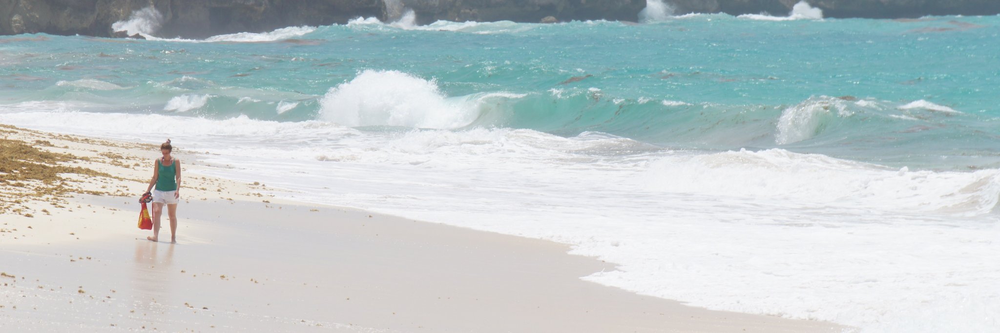 The Rebel Chick ✈️ banner