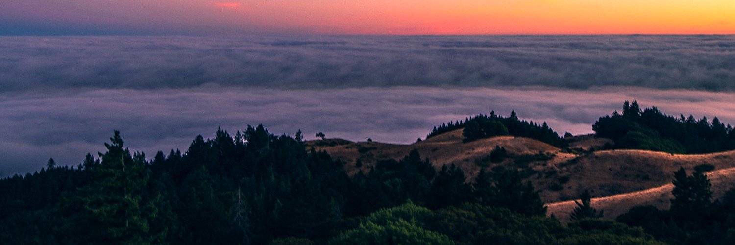 wolfiexhellz's profile banner image