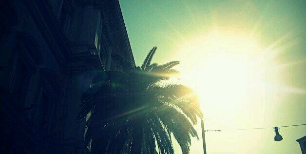 OnaU1920643's profile banner image