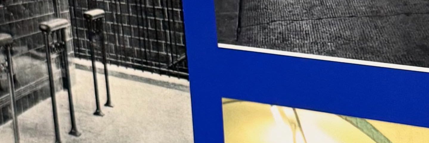 edamame banner