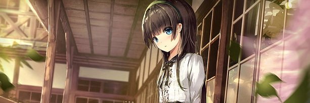 Riley banner