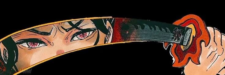Z's banner