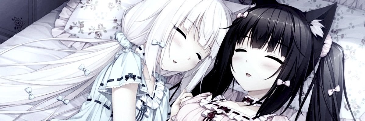 dabipurrs's profile banner image