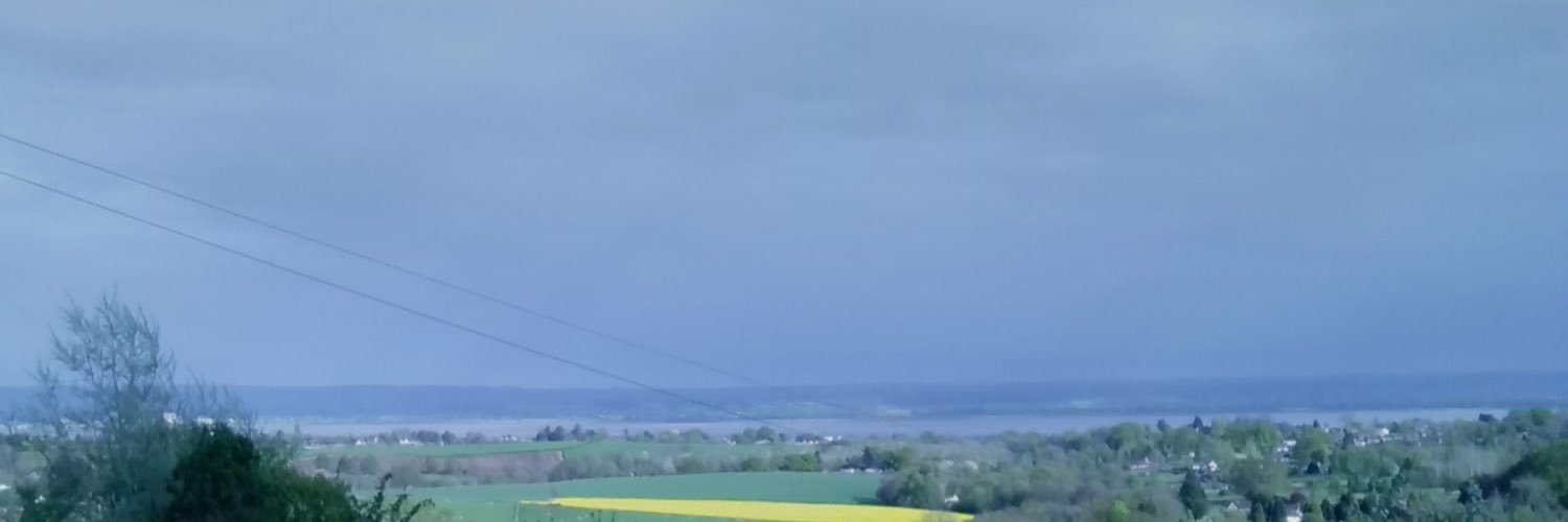 pipermartyn1's profile banner image