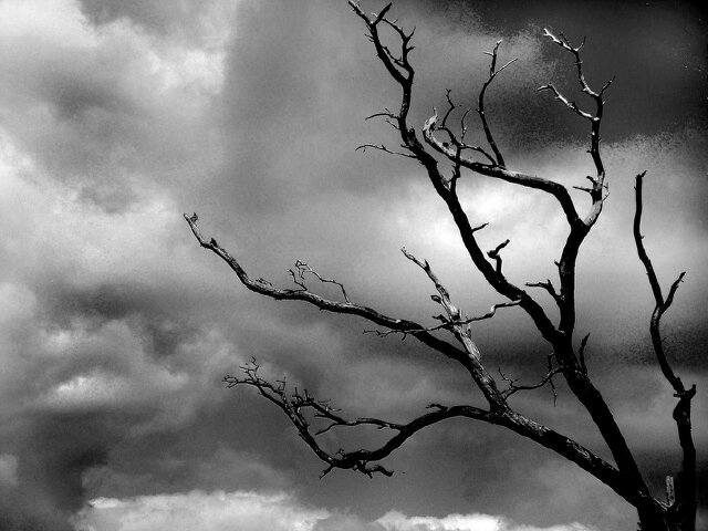 NoSavingMe_dead's profile banner image