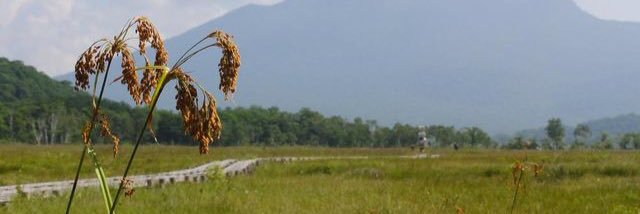 dorakkuman's profile banner image
