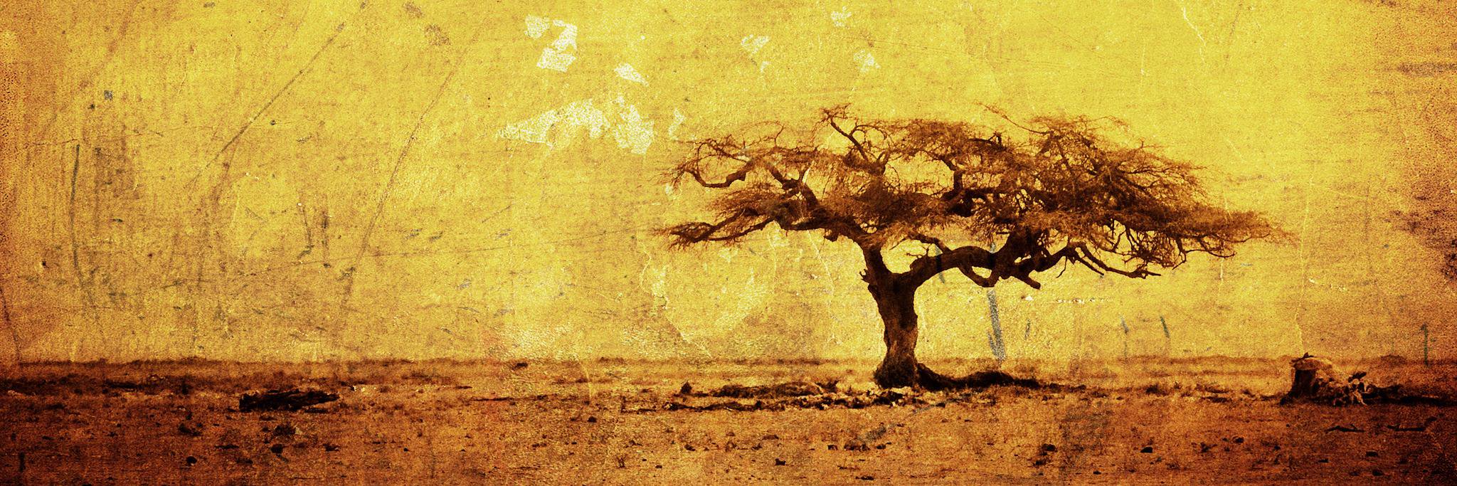 bee_frater's profile banner image