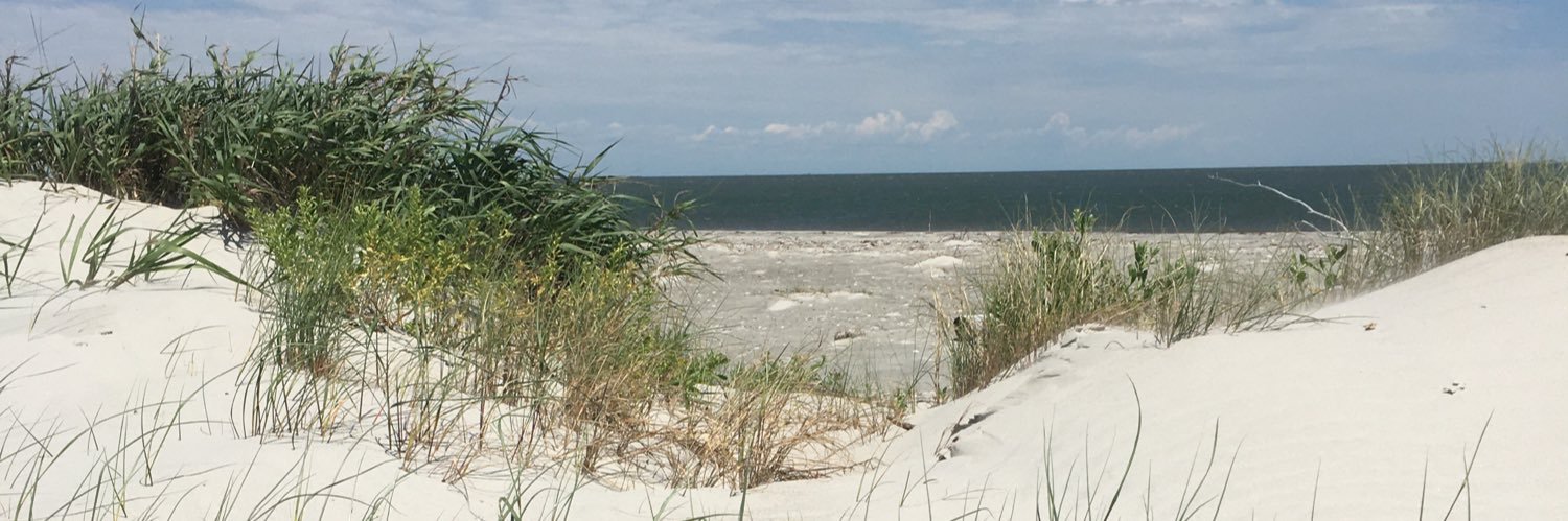 DeborahTLeonard's profile banner image