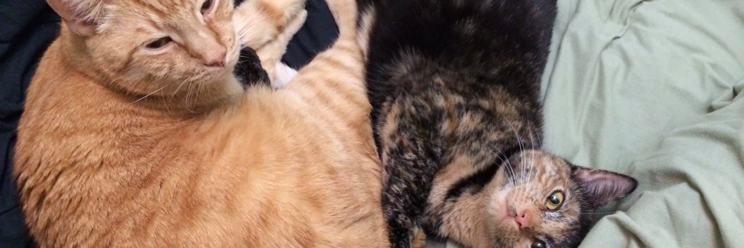 heikemarie's profile banner image
