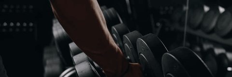 Gym Fiesta's banner