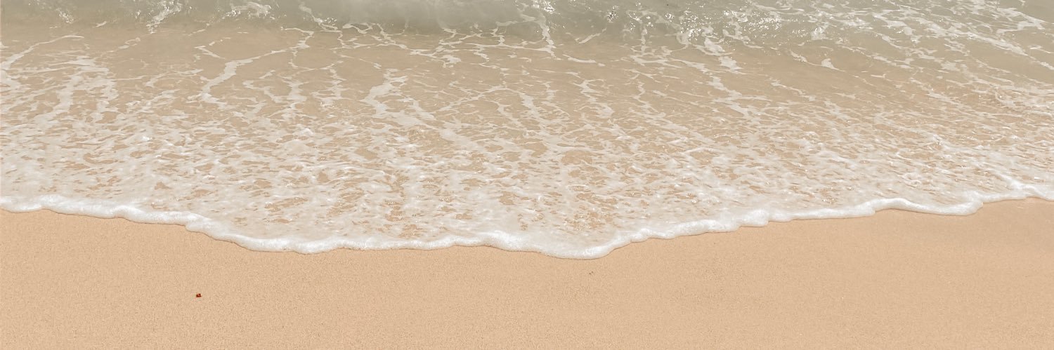 erikachachaa's profile banner image
