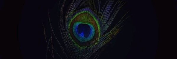 Aham_Anavrin Profile Banner