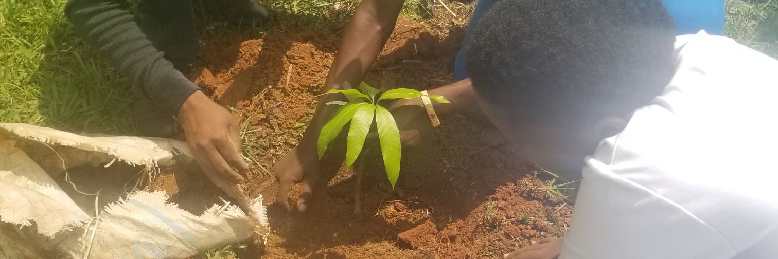 🇺🇬CHRIS SSALI 🇷🇼's banner