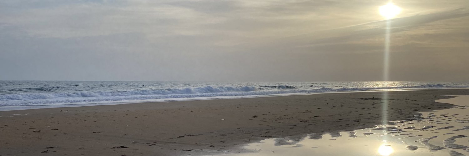 sergiodlabella's profile banner image
