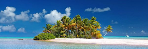 ra_911d Profile Banner