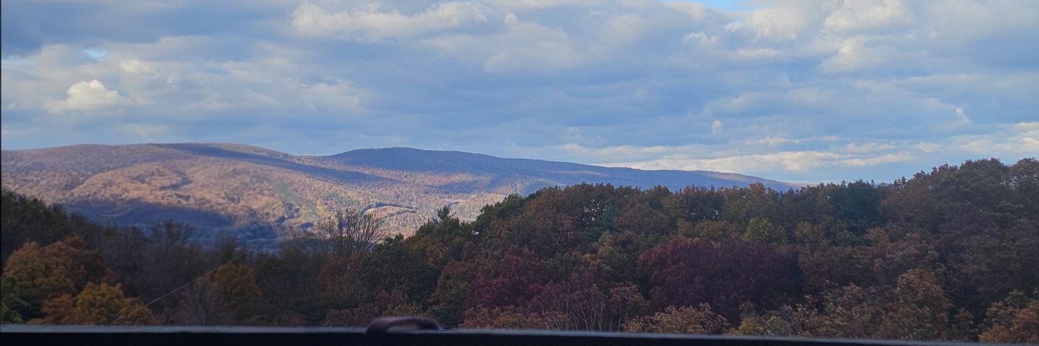 wildmansteve's profile banner image