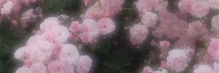 enutorihiki0's profile banner image