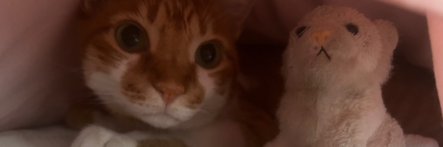ainya_o's profile banner image
