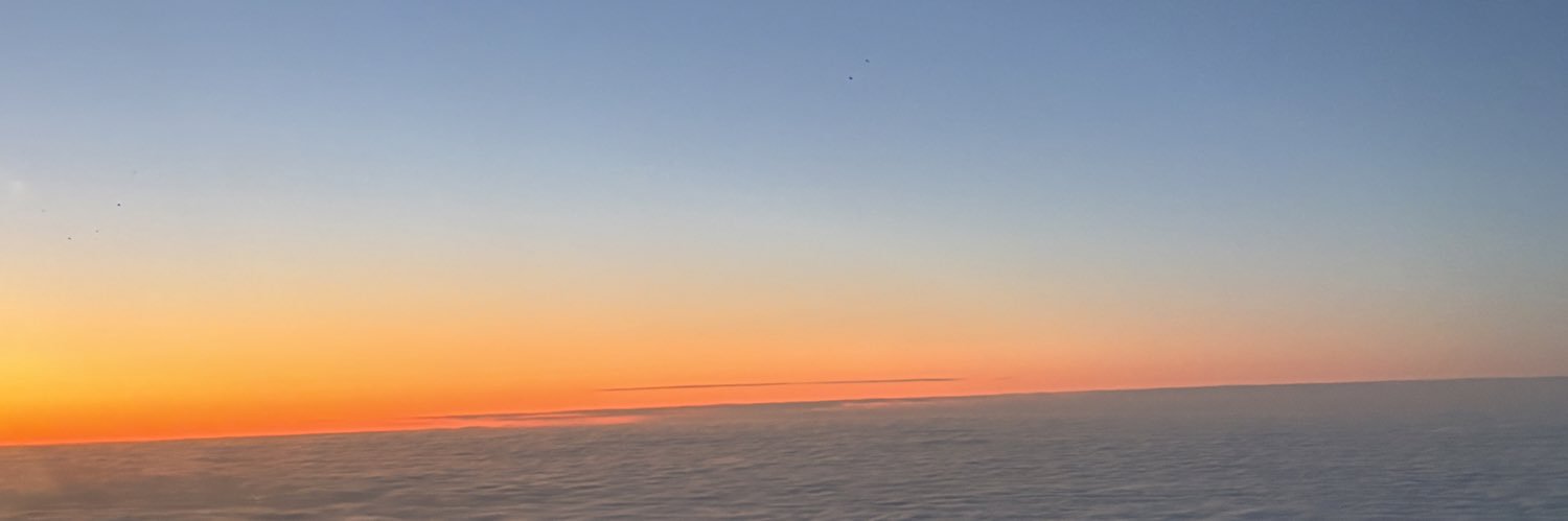 zii banner