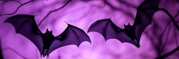 Ansurando Profile Banner