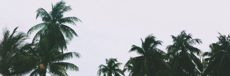 emiilyyjunee__'s profile banner image