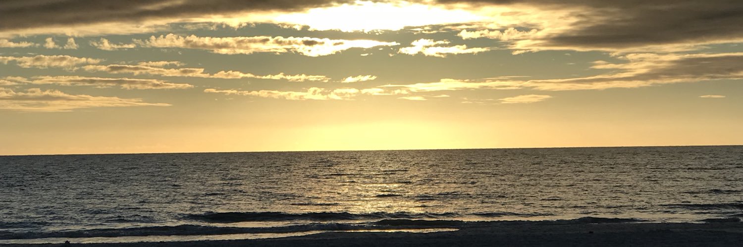 mistim's profile banner image
