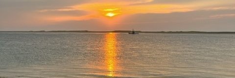 RealHlthyFam's profile banner image