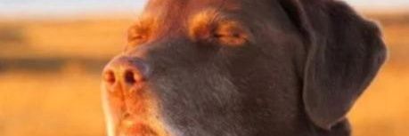 'LwK ⩜⃝ ☭ banner