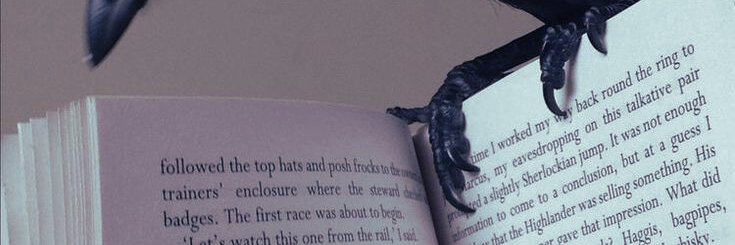 Reviena (slow) banner