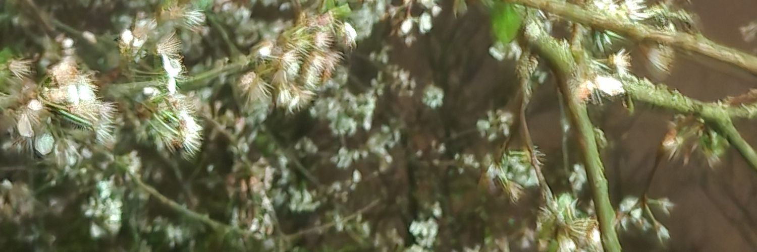 EProMediaDesign's profile banner image