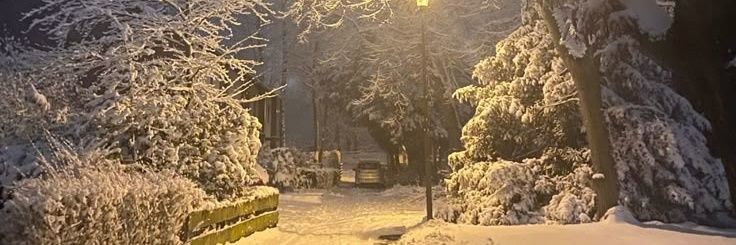 arellin🍀𓍯 banner