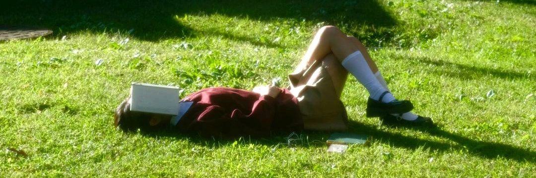 the whole shebang from banner