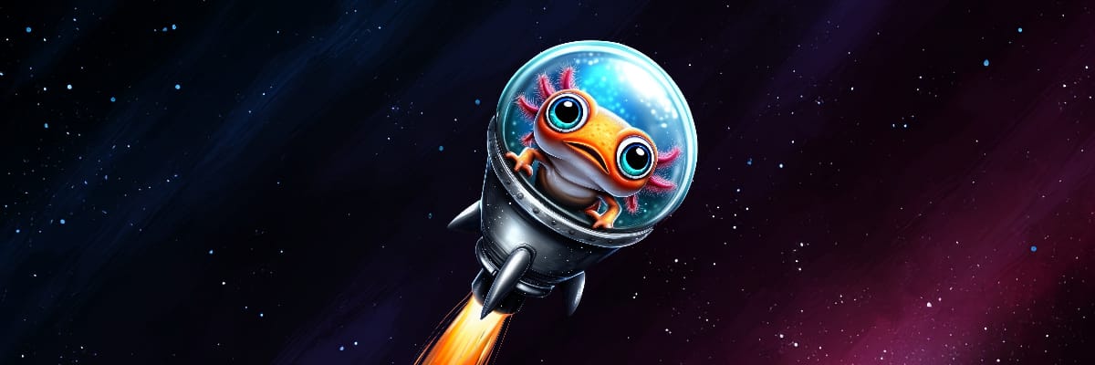 AxoRocket banner