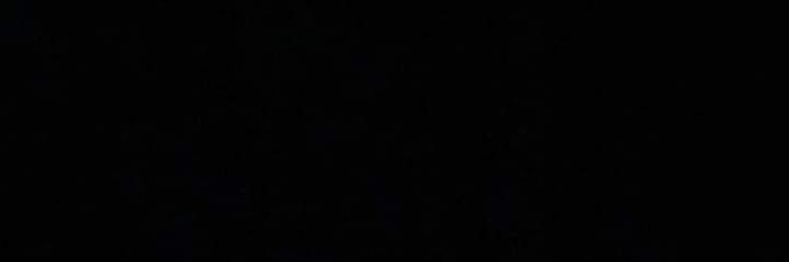 spoikespet's profile banner image