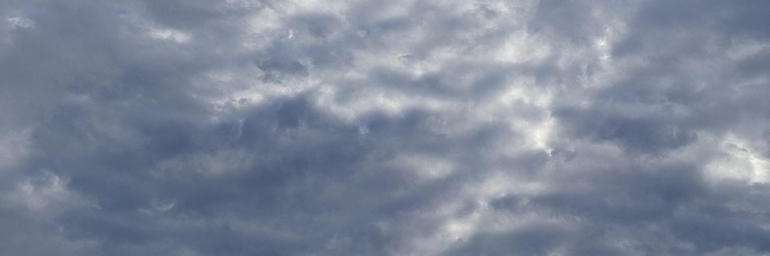 whyxu's profile banner image