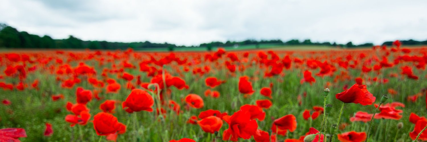 Christine Blake banner