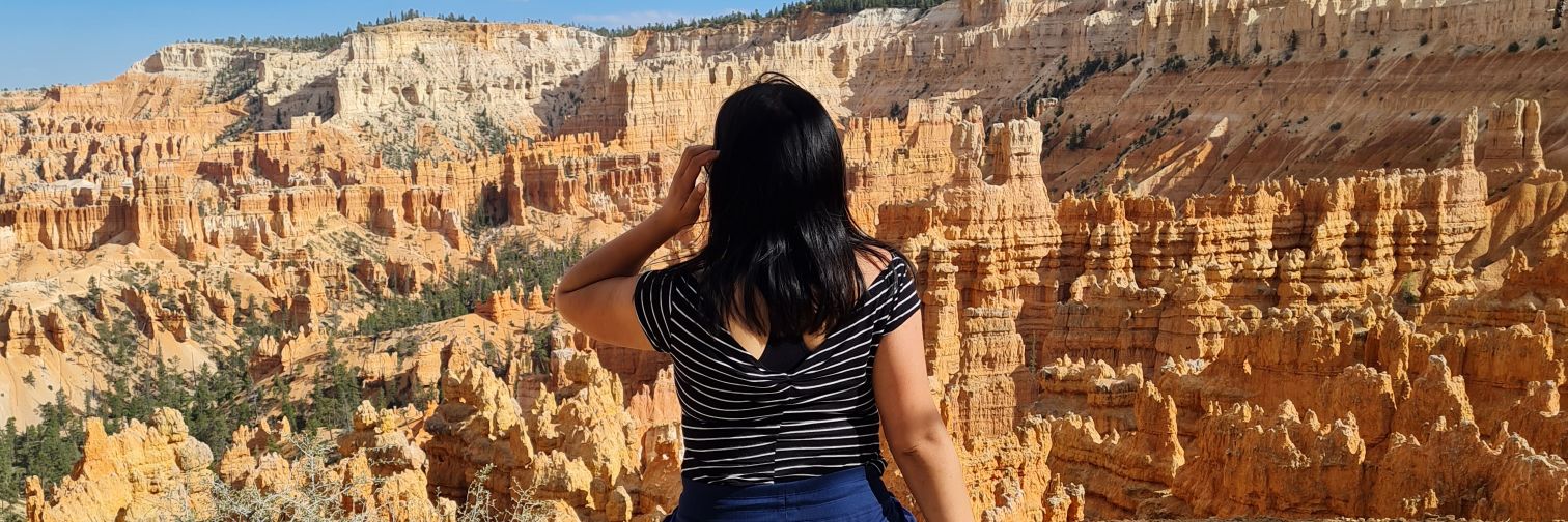 Nivaliis's profile banner image