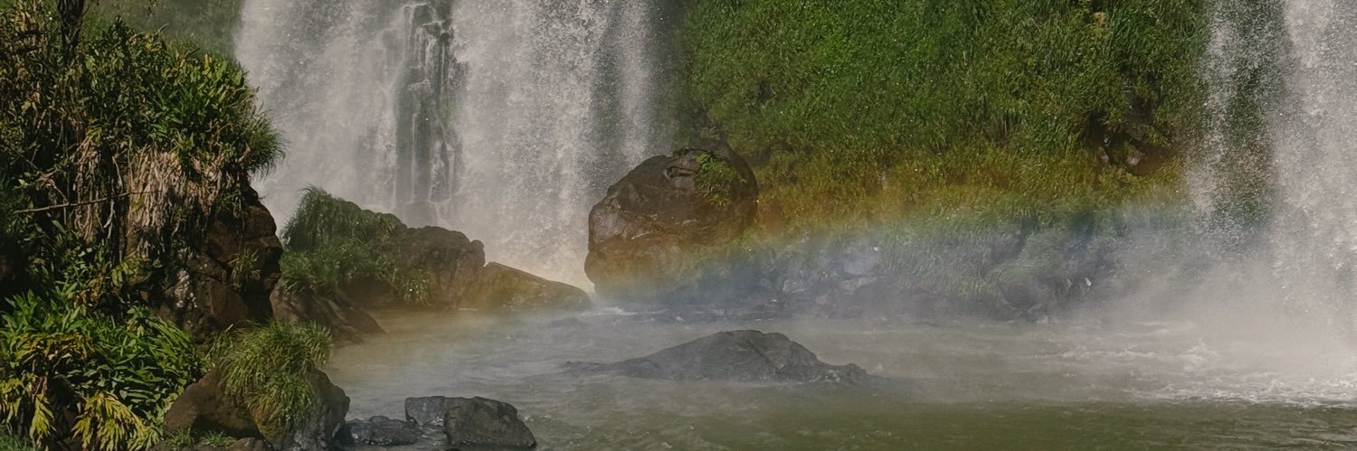 abigrassi's profile banner image