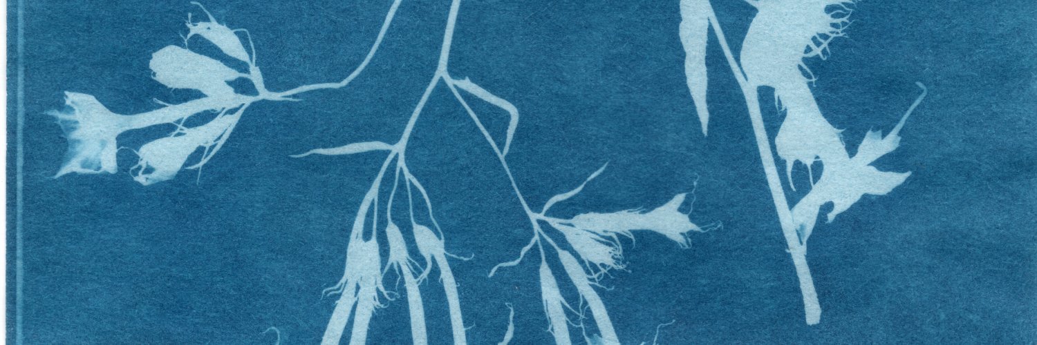 yanci ⋆˚꩜｡ banner