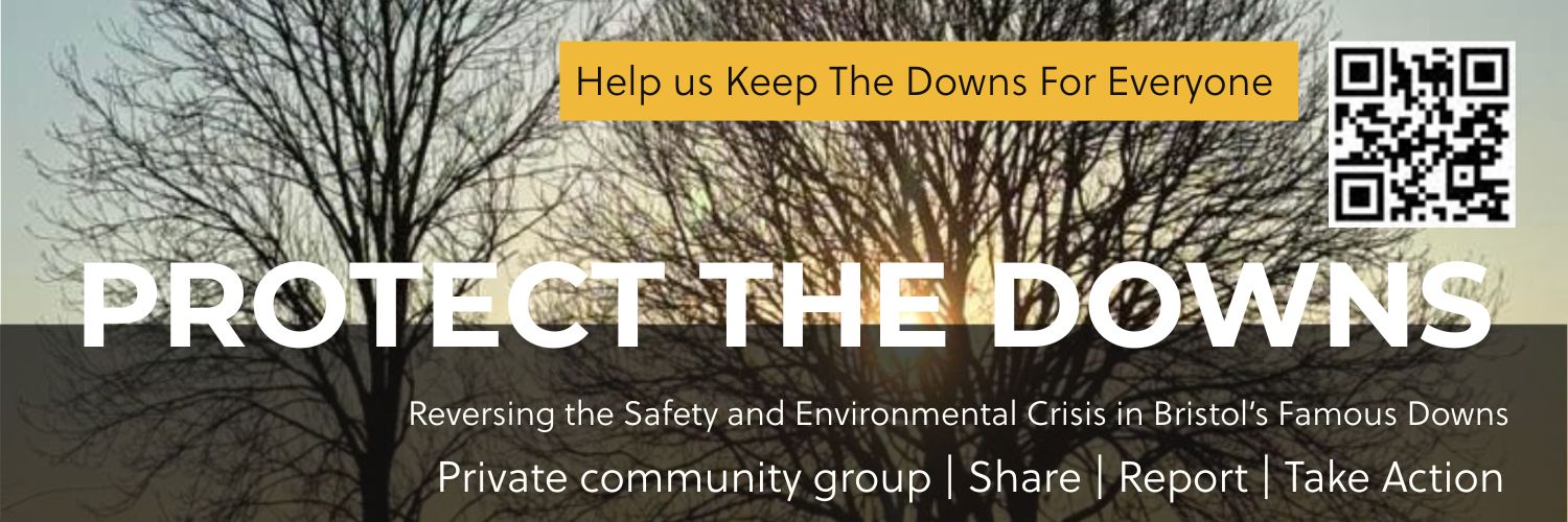 Protect The Downs's banner